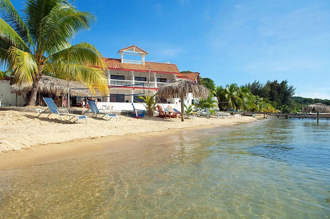 Brisas Del Mar Beach + Dive Resort West End Exterior foto