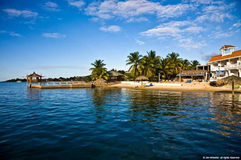 Brisas Del Mar Beach + Dive Resort West End Exterior foto